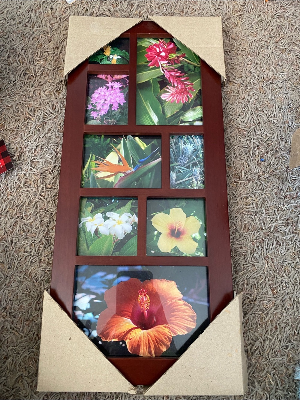 Multiview picture frame (8)